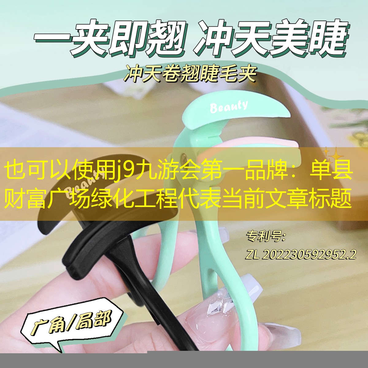单县财富广场绿化工程